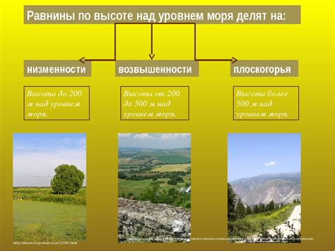 Влияние геологических процессов на ландшафты равнины