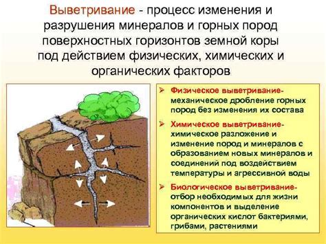 Влияние геологических процессов на появление мифов о потопе