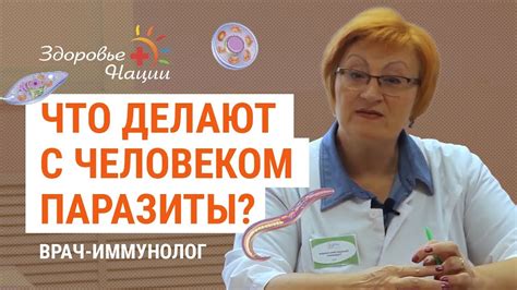 Влияние глистов на здоровье человека