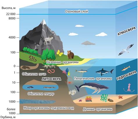 Влияние глубины и структуры воды