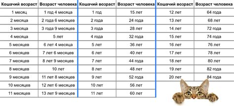 Влияние года рождения на возраст кошки