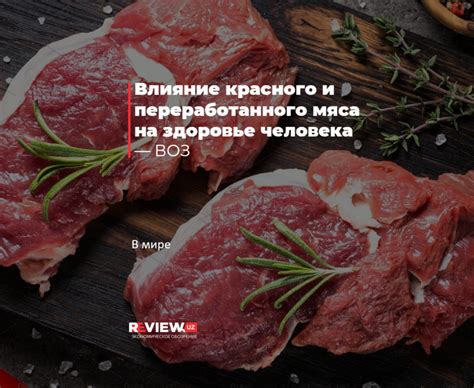 Влияние готового мяса на здоровье и выживаемость львов