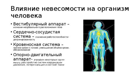 Влияние гравитации на постуральные изменения