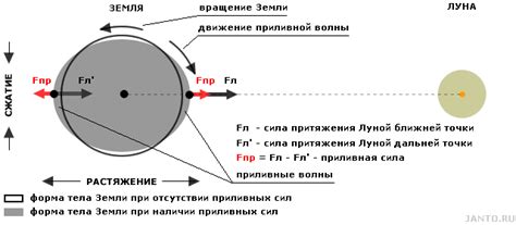 Влияние гравитационного притяжения Луны