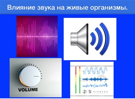 Влияние громкоговорителя на качество звука