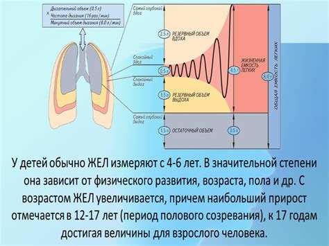 Влияние грусти на глубину и частоту дыхания