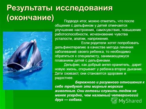 Влияние дельфинов на океанскую экосистему: почему они важны для баланса