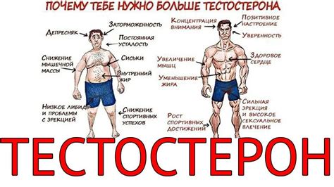 Влияние других гормонов