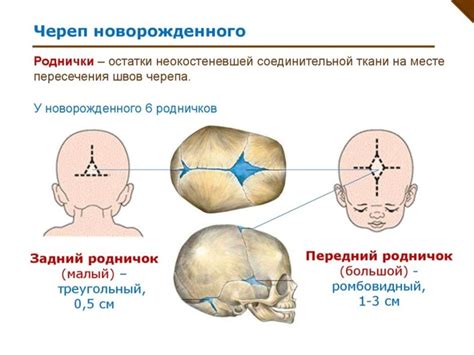 Влияние заболеваний и травм на форму черепа