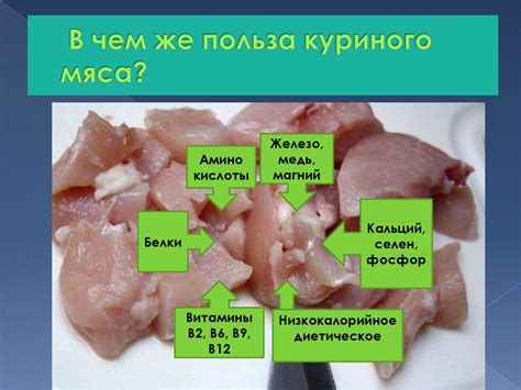 Влияние задушенного хорьком куриного мяса на здоровье