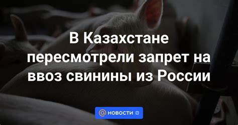 Влияние запрета на ввоз свинины на местное хозяйство