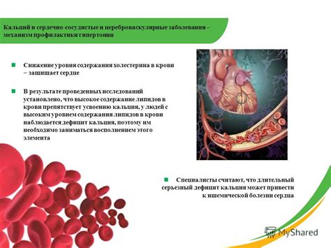 Влияние избыточного потребления соли на сердечно-сосудистую систему