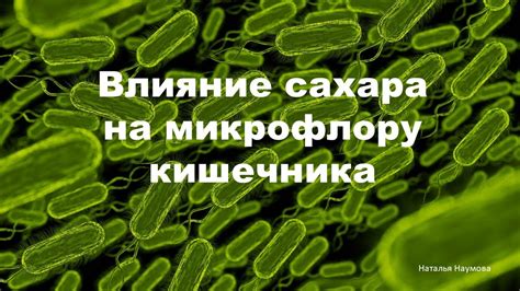 Влияние кефирных бактерий на микрофлору кишечника