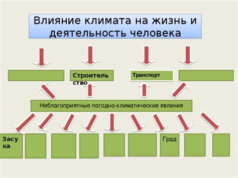 Влияние климата на процесс цветения рябины красной