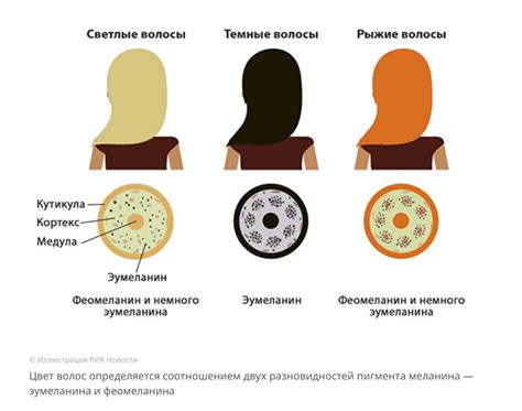 Влияние красителя на цвет волос