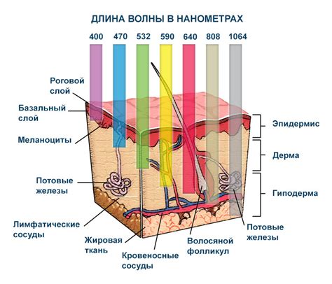 Влияние лазерных импульсов на кожу