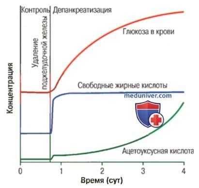 Влияние липидов на здоровье