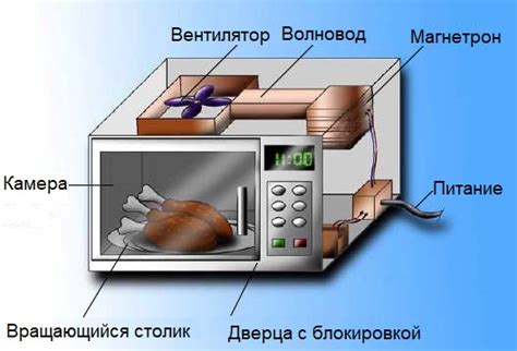 Влияние магнитов на работу микроволновой печи