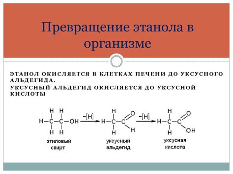 Влияние магния на биохимические процессы