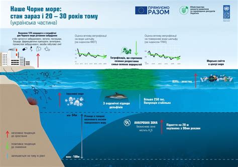 Влияние массовой туристической активности на состояние Черного моря