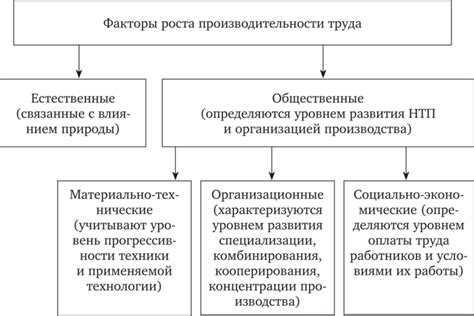 Влияние менторства на бизнес-рост