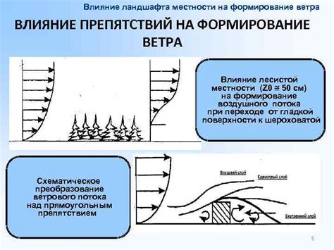 Влияние местности на формирование тумана