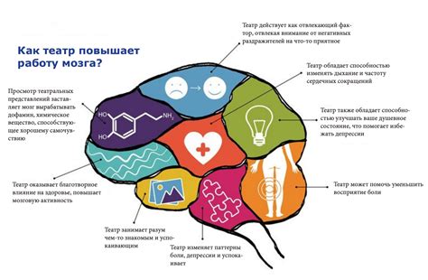 Влияние мозга на восприятие