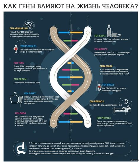 Влияние мутации генов на жизнь человека