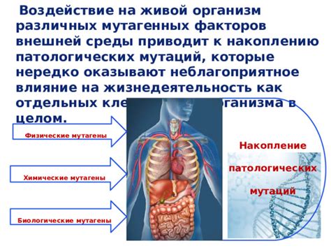 Влияние мутаций на организм