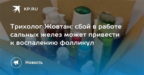 Влияние нарушений в работе сальных желез