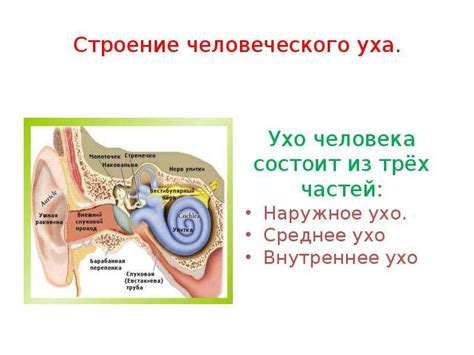 Влияние наушников на слух при посещении солярия