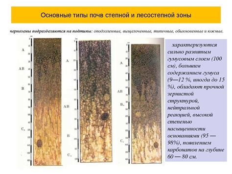 Влияние на водоудерживающие свойства