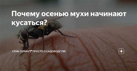 Влияние на жизненный цикл мух