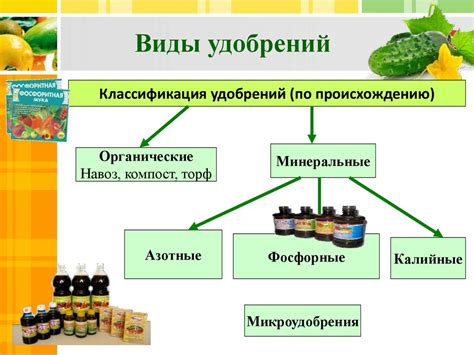 Влияние на рост и развитие