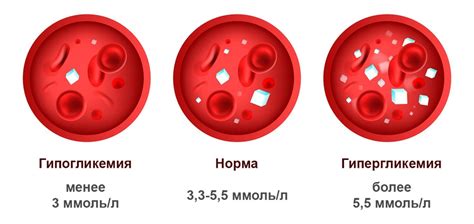 Влияние на уровень глюкозы в крови