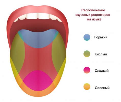 Влияние некоторых медикаментов на вкусовые рецепторы