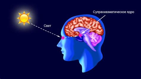 Влияние нехватки солнечного света на эмоциональное состояние