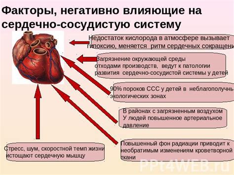 Влияние низких температур на сердечно-сосудистую систему