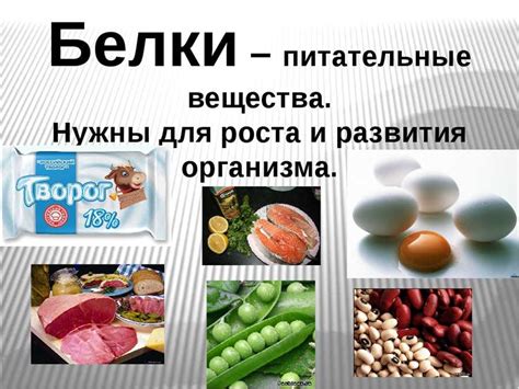 Влияние низкого общего белка на организм