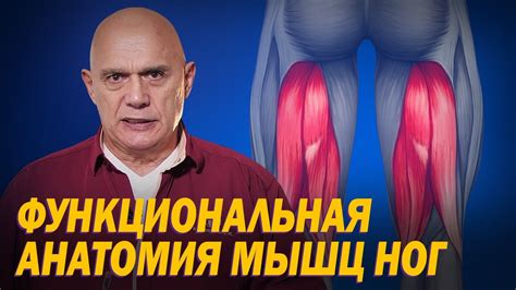 Влияние низкой активности мышц нижних конечностей