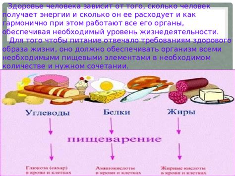 Влияние образа жизни на уровень энергии