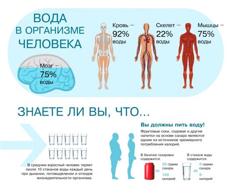 Влияние образования жидкости в пупке на организм и здоровье