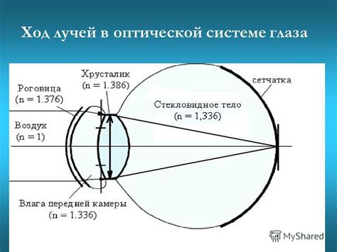 Влияние окраевого зрения на процесс восприятия