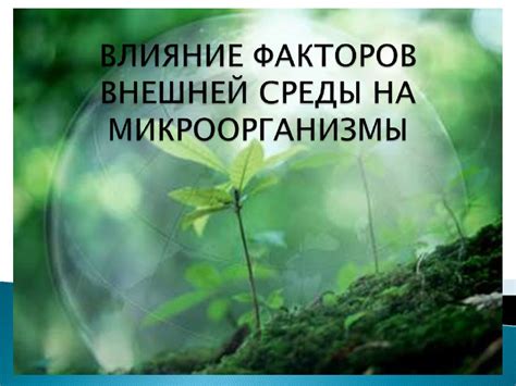 Влияние окружающей среды на мигание глаз у взрослых