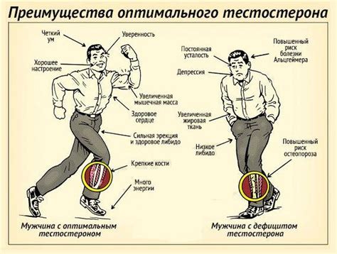 Влияние оргазма на организм мужчины