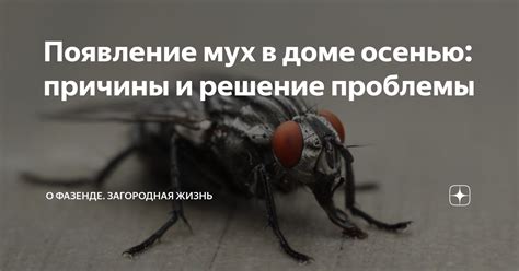 Влияние осенних условий на появление мух