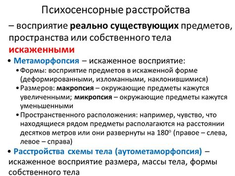 Влияние осязания на восприятие мира