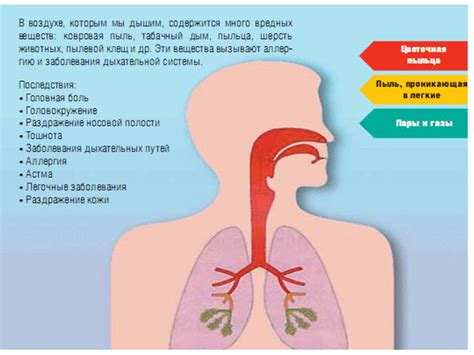 Влияние отсутствия воздуха на здоровье