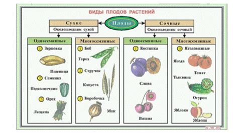 Влияние перегноя на вкус и сохранность плодов