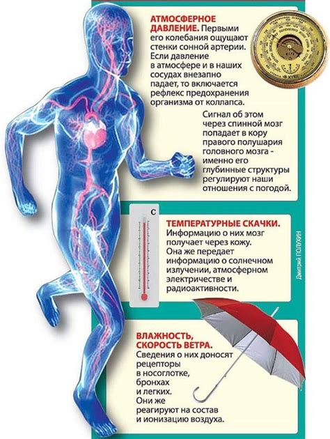 Влияние питания на изменение показателей давления